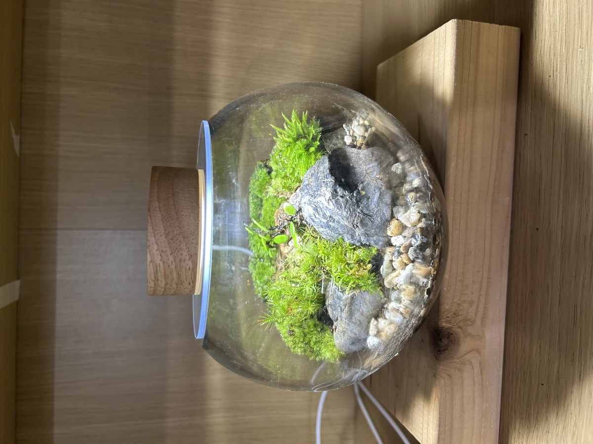 11.2     15:00     1