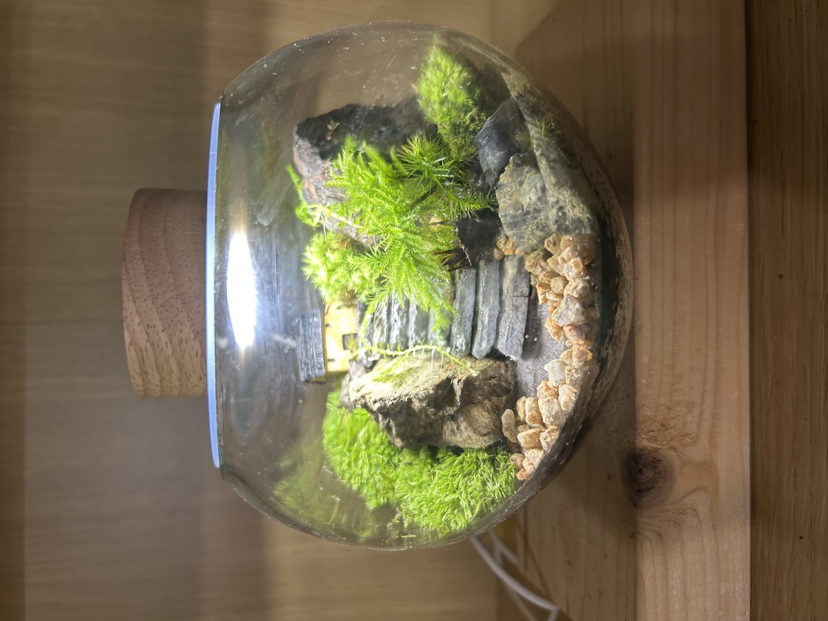 11.23     12:30    1