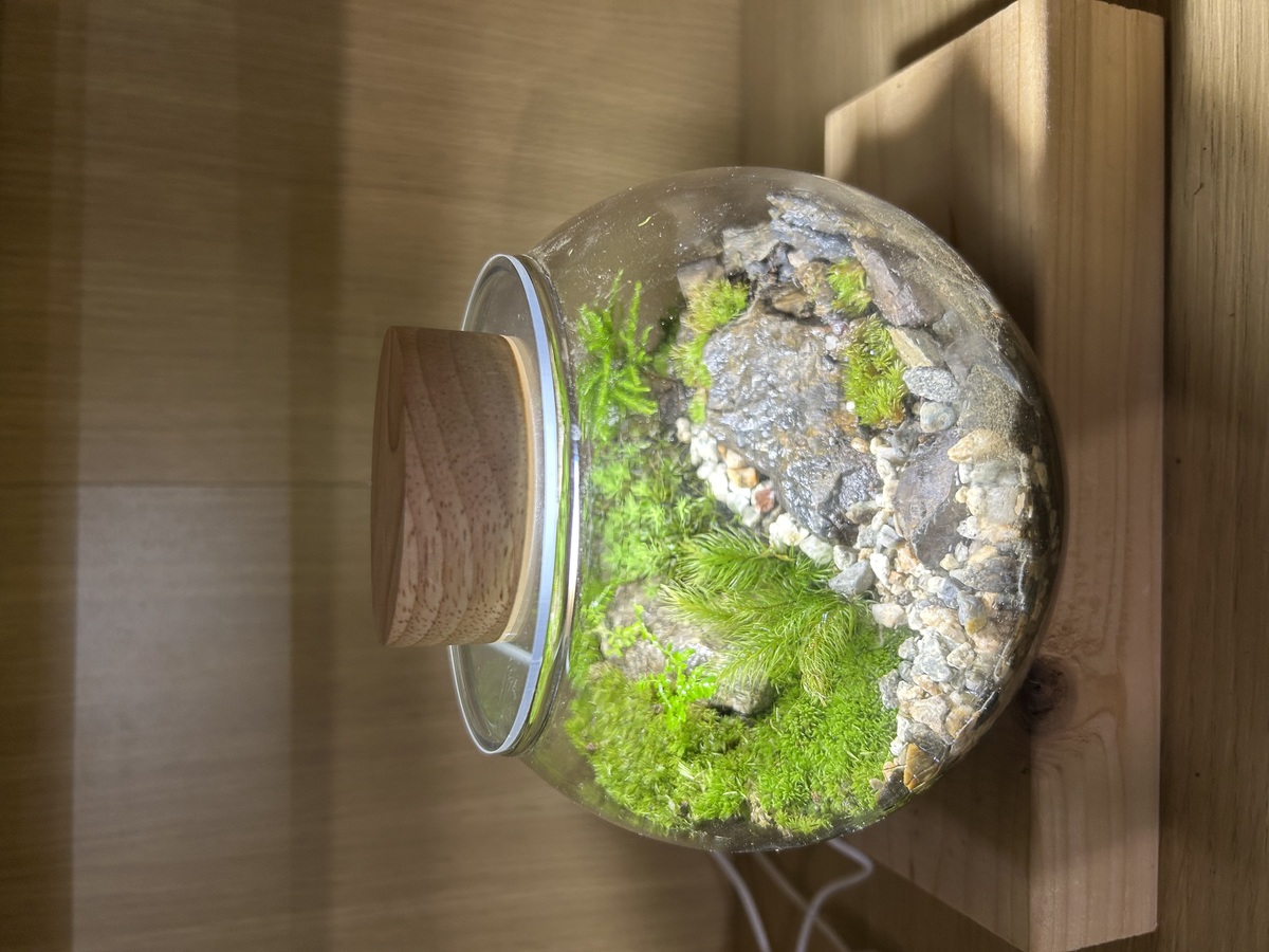 12.21    12:31     1