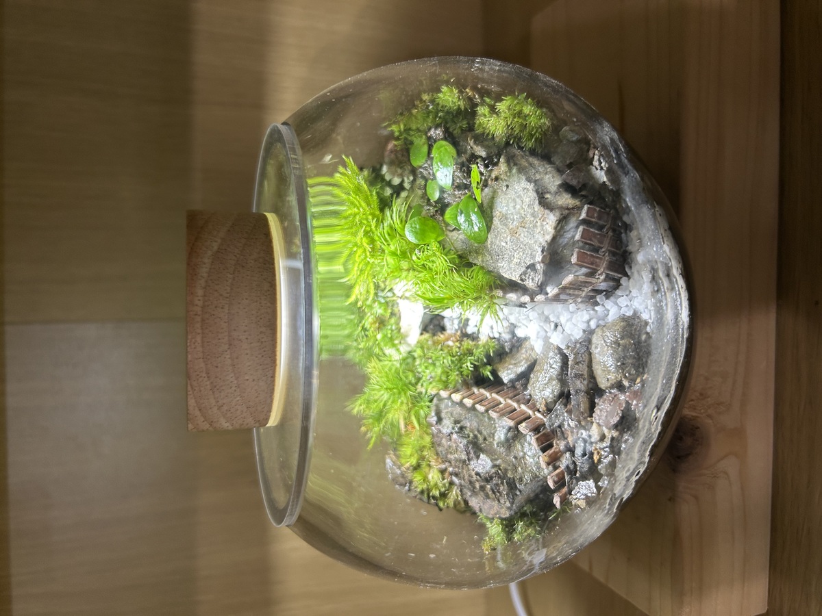 2026.1.18   12:30    1