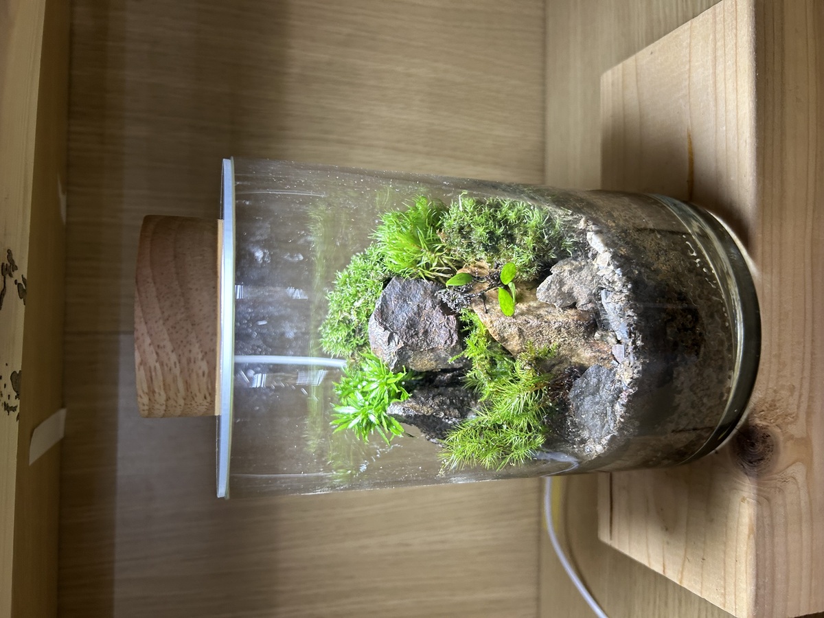 2026.118   12:30   2